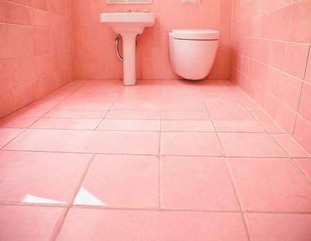 Pink tile floor and toilet bowl in modern bathroom interior - Vintage Light Filterの素材