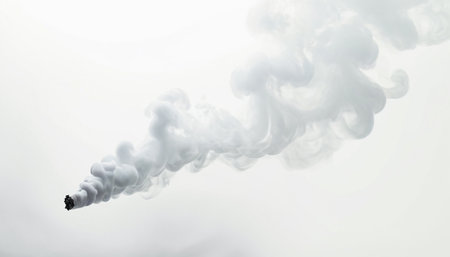 Smoke from an airplane on a white background. 3d renderingの素材