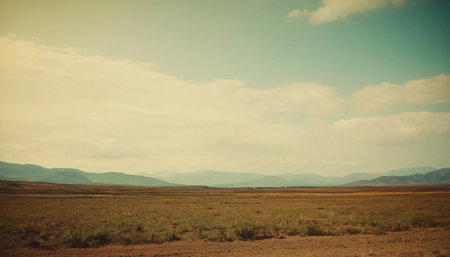 Beautiful landscape in the steppe of Kazakhstan. Toned.の素材