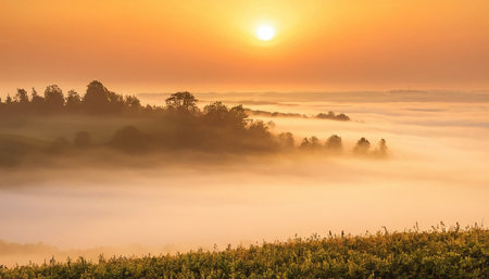 Foggy sunrise in the morning. Landscape with fog.の素材
