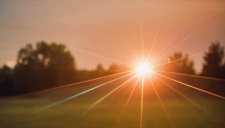Sunset over a field with trees in the background and lens flareの素材