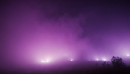 Foggy night in the forest. Night landscape with fog.の素材