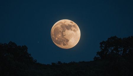 Full moon in the night sky over the forest. Natural background.の素材