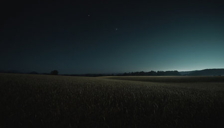 Night sky with stars and moon over a green field of wheat.の素材