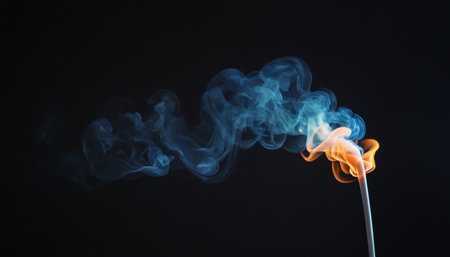 Smoke from incense sticks on a black background. Copy space.の素材