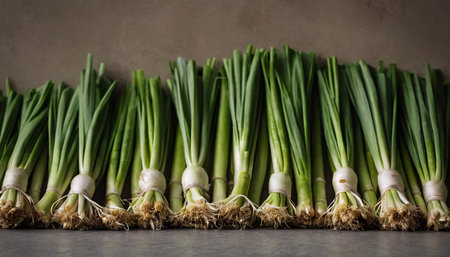 Bunch of fresh green spring onions in a row on grey backgroundの素材