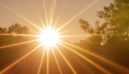 Sunset with lens flare. Nature background. Sunbeams.の素材