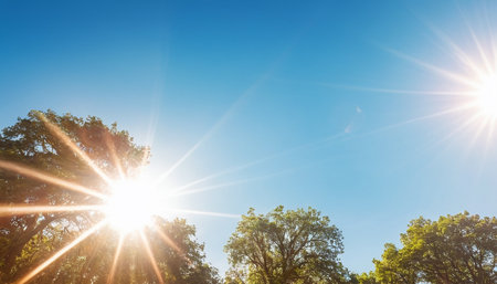 Sunset in the forest. Natural background with sunbeams.の素材