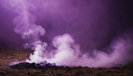 Smoke from a fire in the forest. The concept of natural disaster.の素材