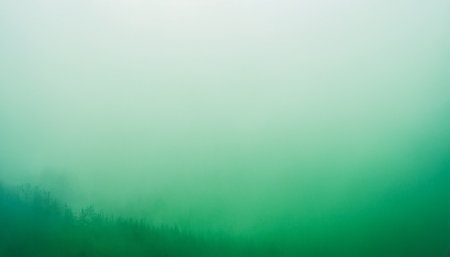 Foggy foggy morning in the forest. Nature background.の素材