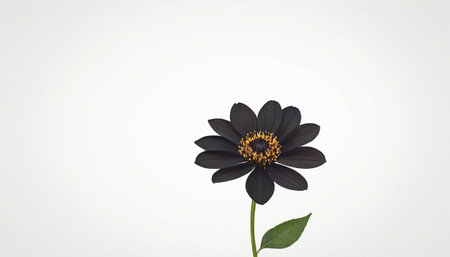 Black flower isolated on a white background. 3d rendering, 3d illustration.の素材