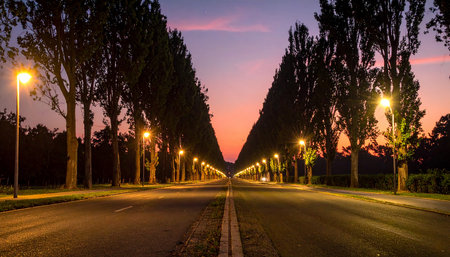 Highway with lighted trees at night in Tuscany, Italyの素材