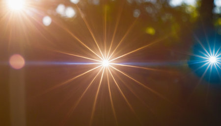Sunset in the forest with lens flare. Abstract natural background.の素材