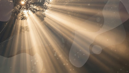 sunbeams through tree branches, abstract natural background, tonedの素材