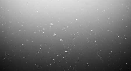 Snowfall on a black background. Snowflakes on a black backgroundの素材
