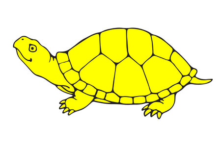 Tortoise line art design yellow colorのイラスト素材