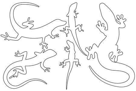 Lizard line art vector for websites, graphics related artworkのイラスト素材