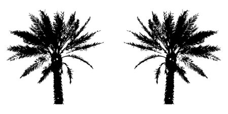 Black trees set isolated on white background. Tree silhouettes. Design of trees for posters, banners and promotional items. Vector illustrationのイラスト素材