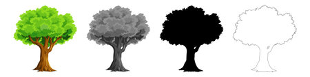 Collection Trees vector, tree silhouette, tree line art on White Background.のイラスト素材