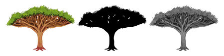 Collection Trees vector, tree silhouette, tree line art on White Background.のイラスト素材