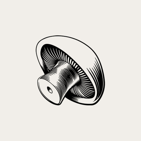 Vector line art magical mushrooms. black line vector art.のイラスト素材