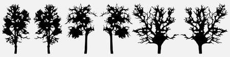 Set of silhouettes of trees. Vector illustration isolated on white background.のイラスト素材