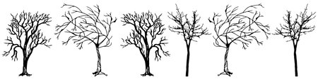 Set of silhouettes of trees with bare branches. Vector illustration.のイラスト素材