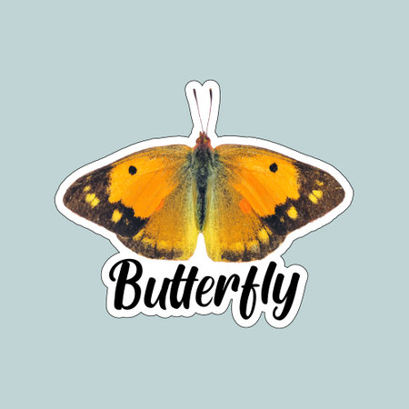 Butterfly with the lettering - beauty. Vector illustration.のイラスト素材