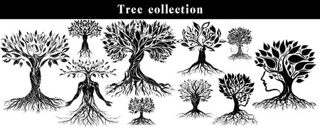 Set of black and white olive tree silhouettes. Vector illustration.のイラスト素材