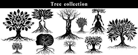 Set of black and white tree silhouettes. Vector illustration for your designのイラスト素材