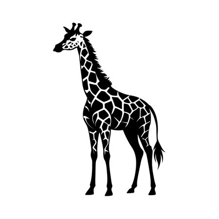 Giraffe black and white silhouette isolated on white background. Vector illustration.のイラスト素材