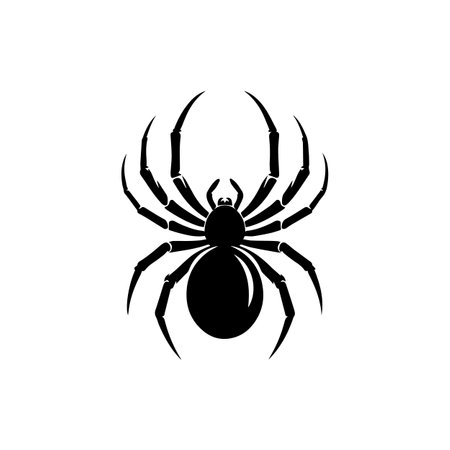 Spider icon isolated on white background. Vector illustrationのイラスト素材
