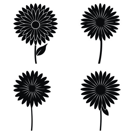 Set of black daisies on a white background. Vector illustrationのイラスト素材