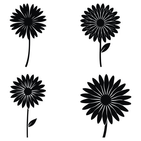 Set of black daisies isolated on white background. Vector illustration.のイラスト素材
