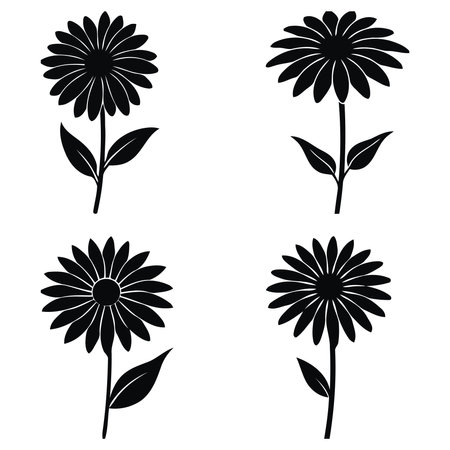 set black black-eyed susan flower silhouettes on white backgroundのイラスト素材