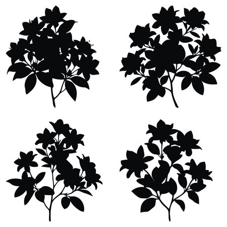set azalea floral silhouette arrangements artのイラスト素材