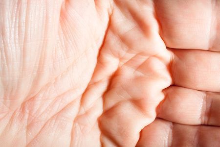 Detail of wrinkled palm and hand showing fingerprints and low contrast wrinkles.の写真素材