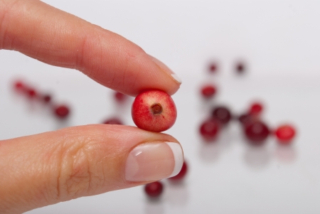 Cranberry in the handの写真素材