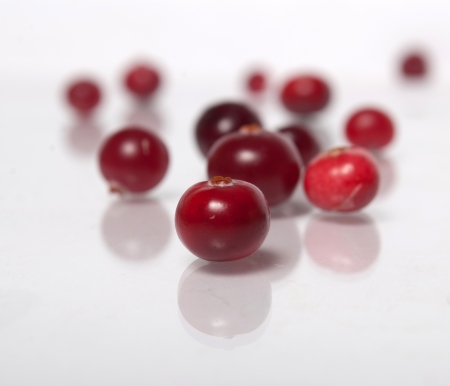 Lot of Cranberry in the white backgroundの写真素材
