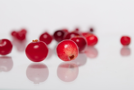 Lot of Cranberry in the white backgroundの写真素材