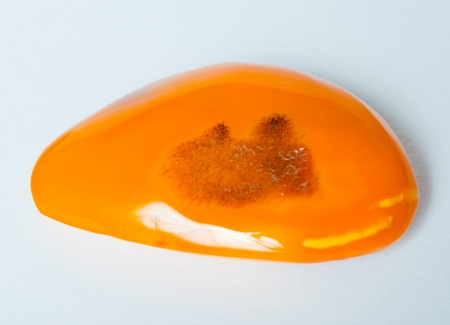 Vintage genuine Baltic amber brooch white backgroundの写真素材