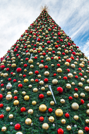 Christmas tree on blue sky backgroundの写真素材