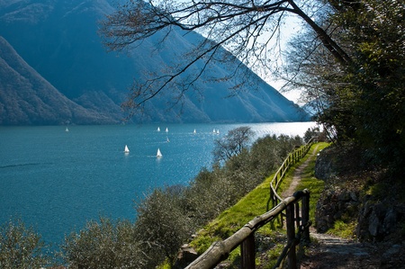 themed walk among ancient olive trees in Gandria, Ticino - Switzerlandの写真素材