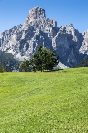 lawn, tree and mountain Sassongher - Dolomiti, Italyの写真素材