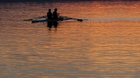 rowers on the river at the sunsetの写真素材