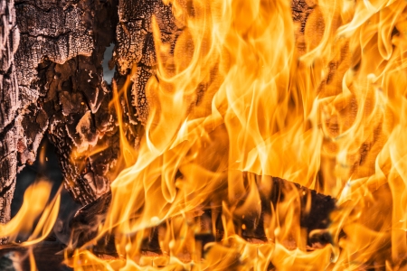 Flames in a wood burning fireplaceの写真素材