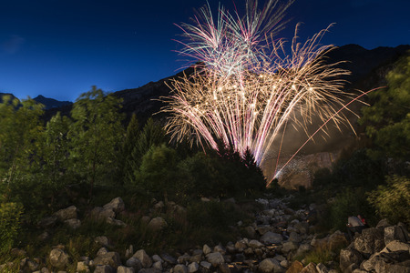 Fireworks in the forestの写真素材