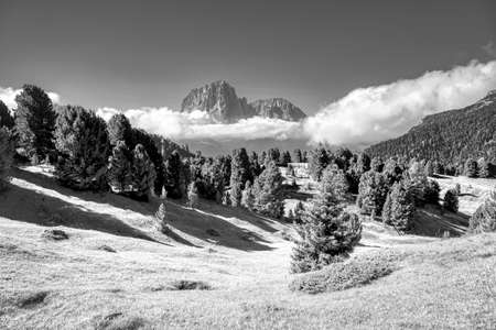 surreal infrared panorama of Val Gardena during the summer seasonの写真素材