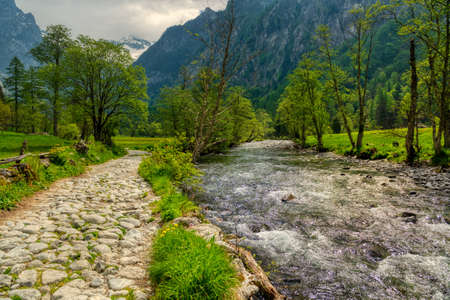 mountain ath and river through the valley in spring seasonの写真素材