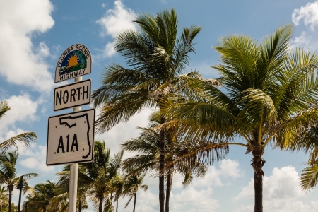 A Road Sign of Florida Scenic Highway with Palm Trees on a backgroundの写真素材